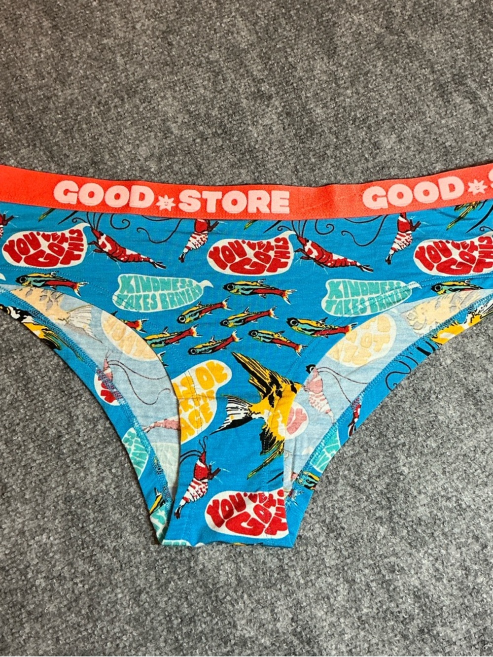 Blue Patterned Bikini Panty 2 pair new 3x kindness